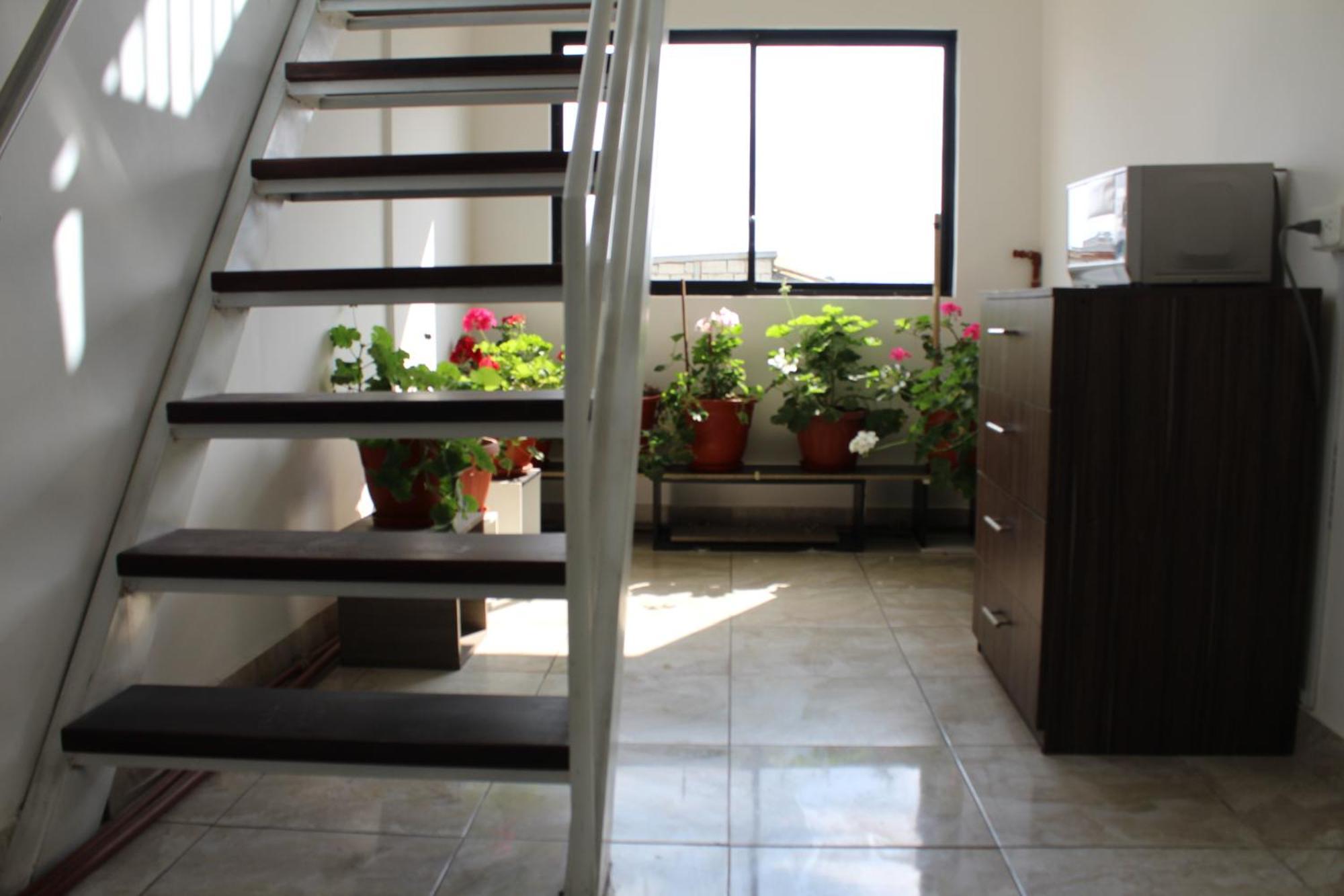 Julius Hostal, Desde Las 14 Horas Hasta 12 Del Mediodia 基多 外观 照片